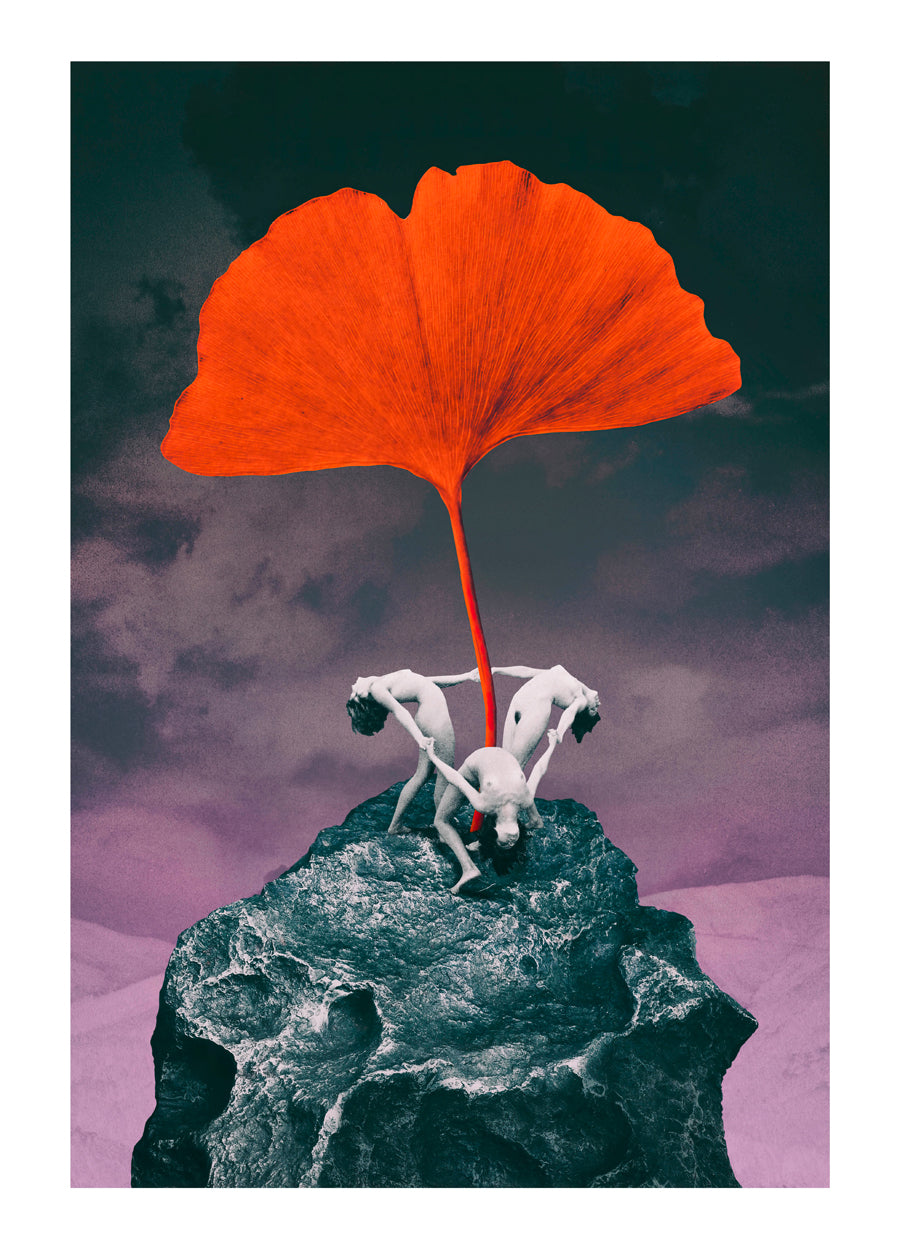 Liturgy of Inflection