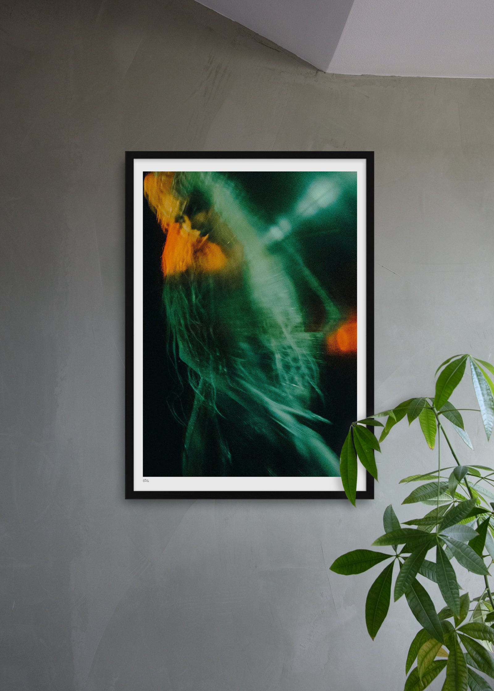 Aesthetic Illusion #2