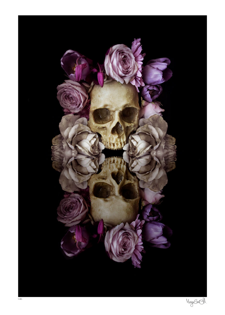 Night Bloom, After the Rain