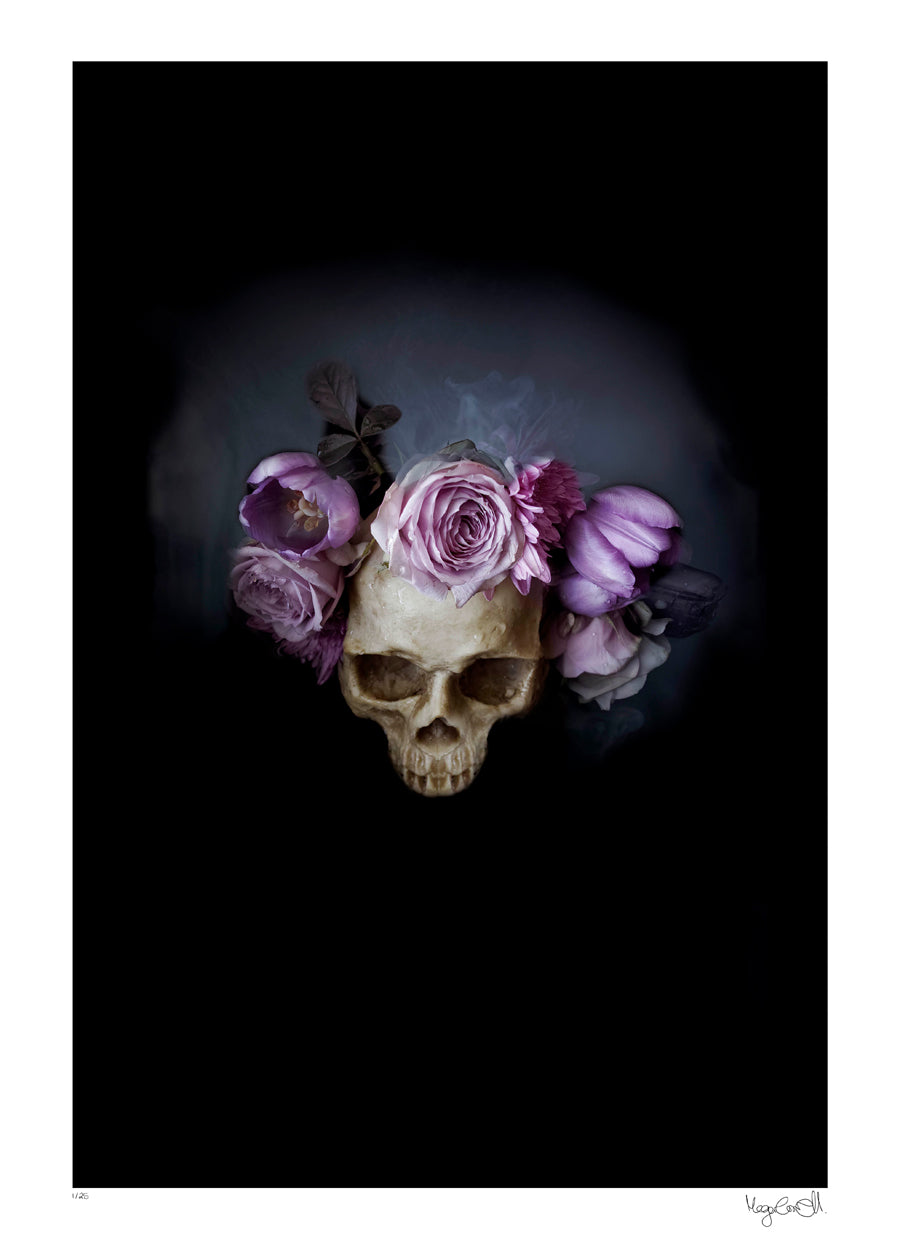 Night Bloom, Daylight Fading