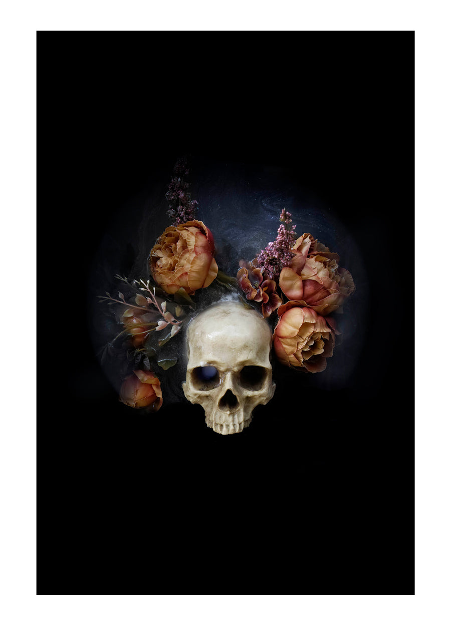 Night Bloom, Harvest