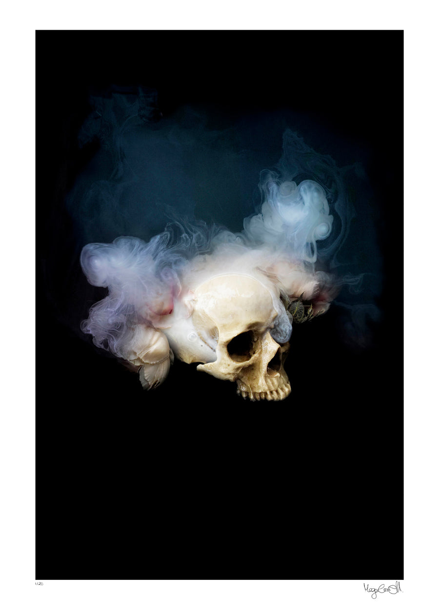 Night Bloom, Night Thoughts