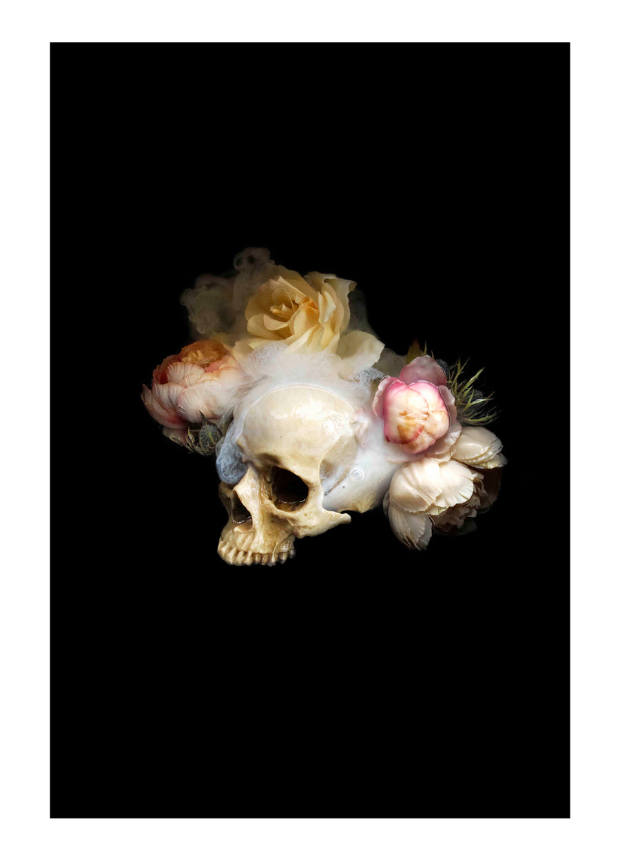 Night Bloom, Night Thoughts 2