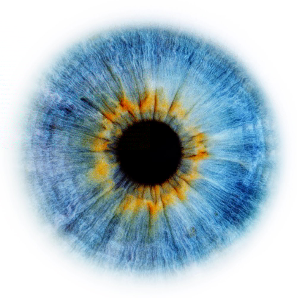 Rasha II “Eyescape” 2007