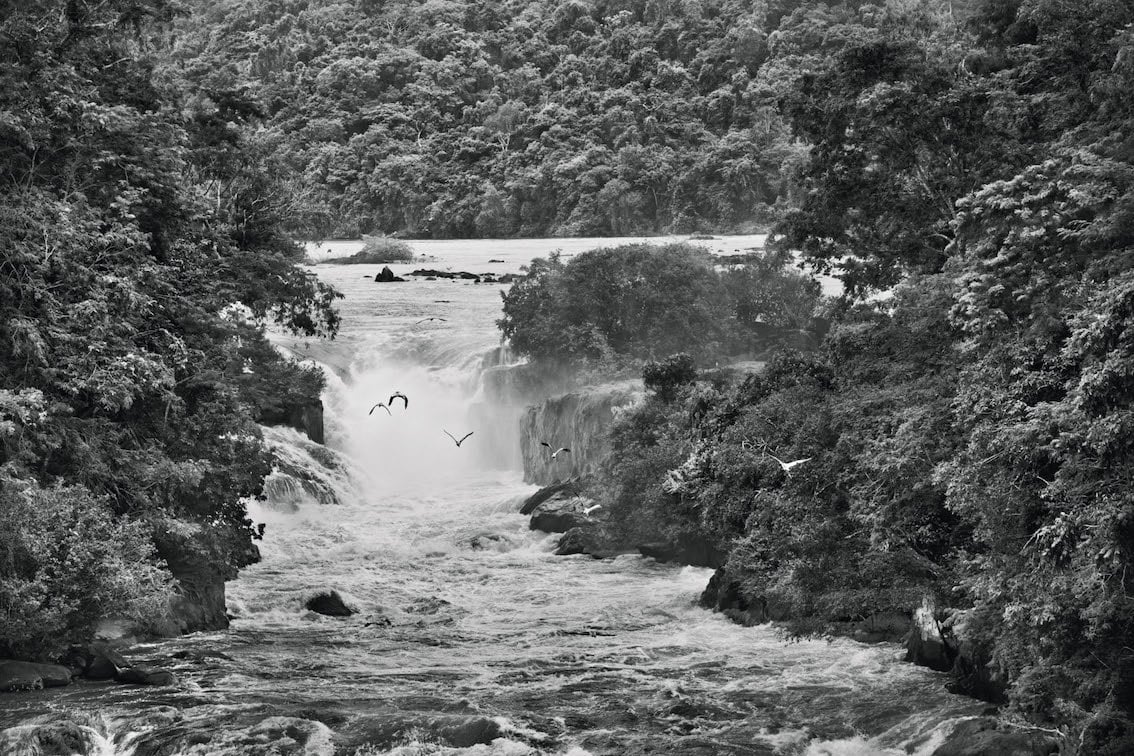 Waterfall on the Erepecuru River (also called the Paru de Oeste River),Zo‘é Indigenous Territory, state of Pará, 2009