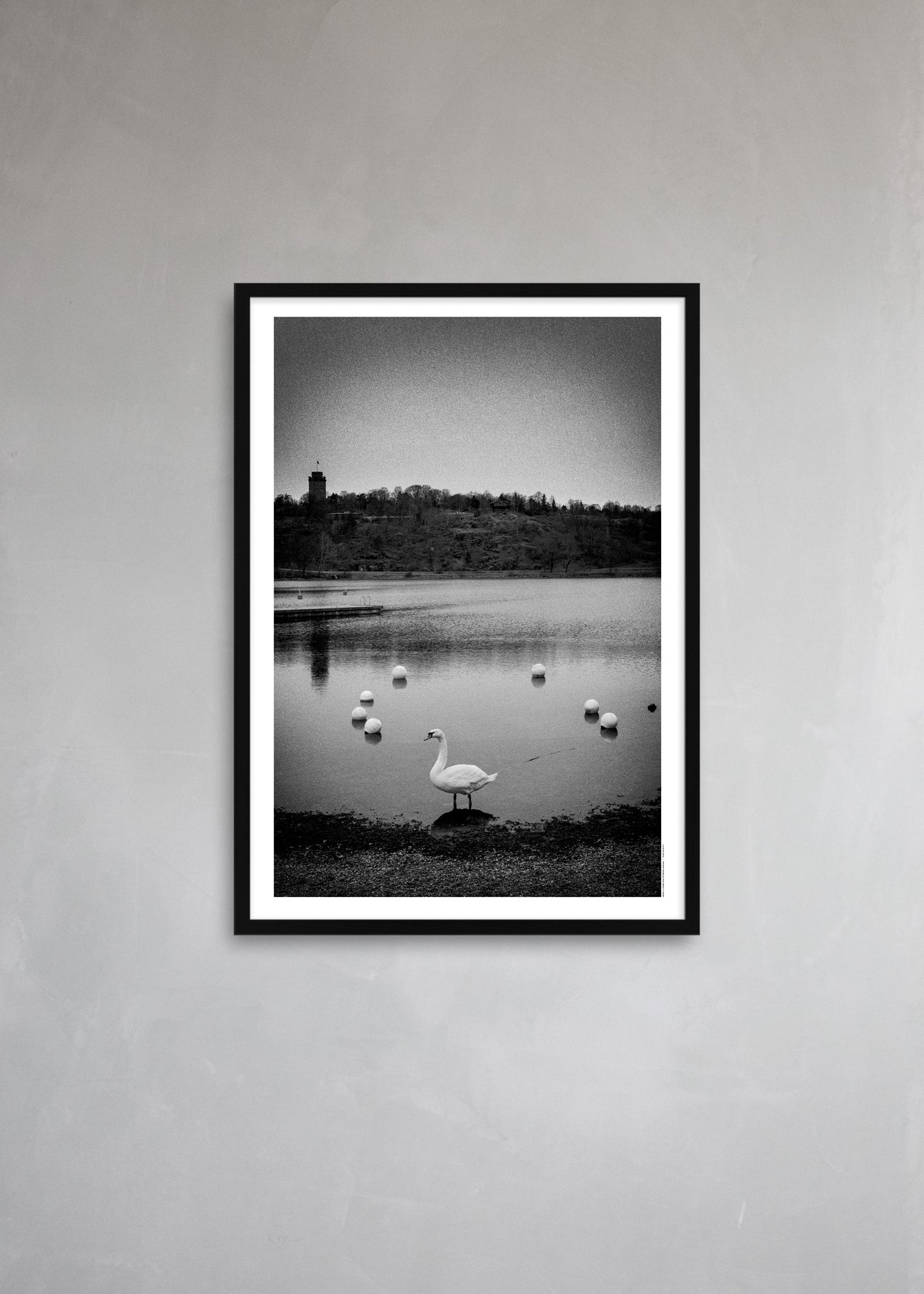 Untitled #1 “A Familiar Place”