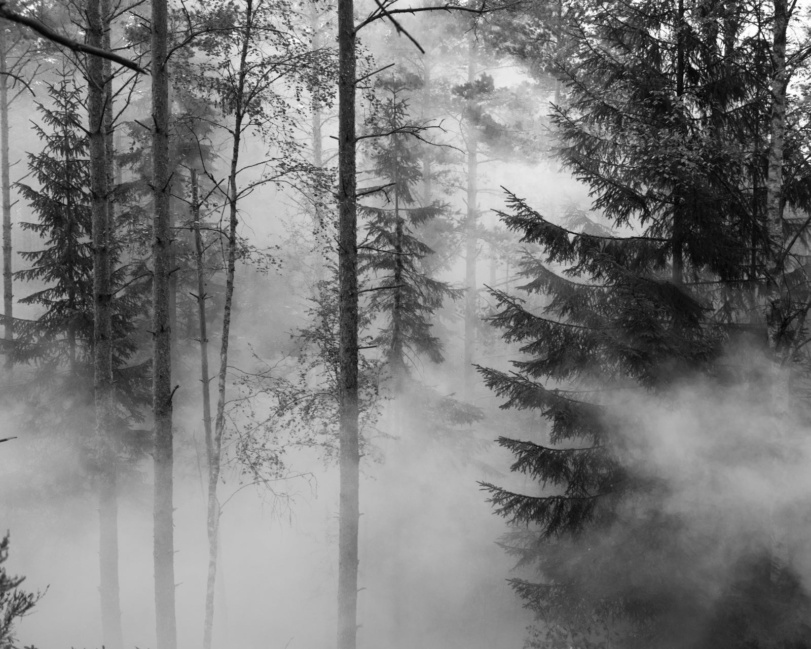 Slash &amp;amp; Burn #30