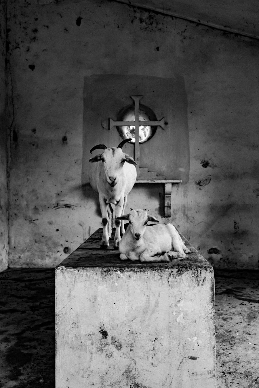 Mother &amp; Kid “Os Meninos da Roça”