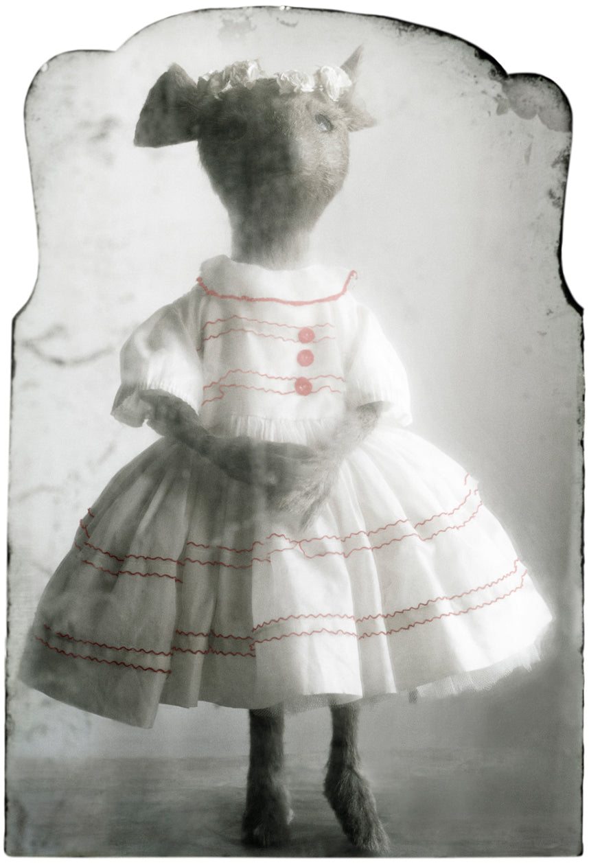 Mouse in Silk Dress, 2016