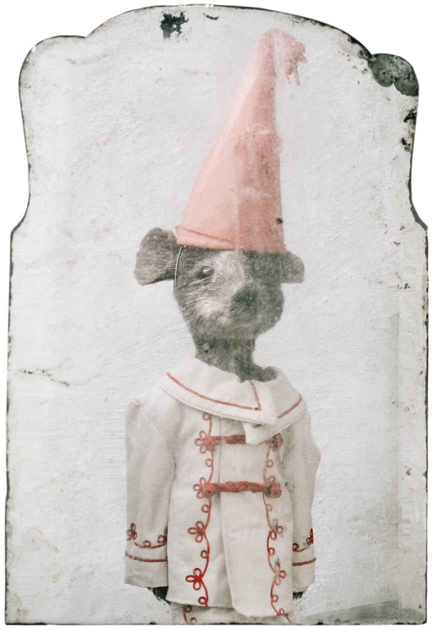 Rat with Pink Hat, 2016