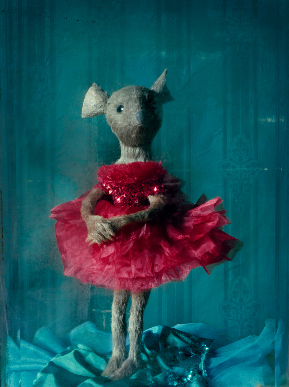 Ruby red Tulle Dress, 2016