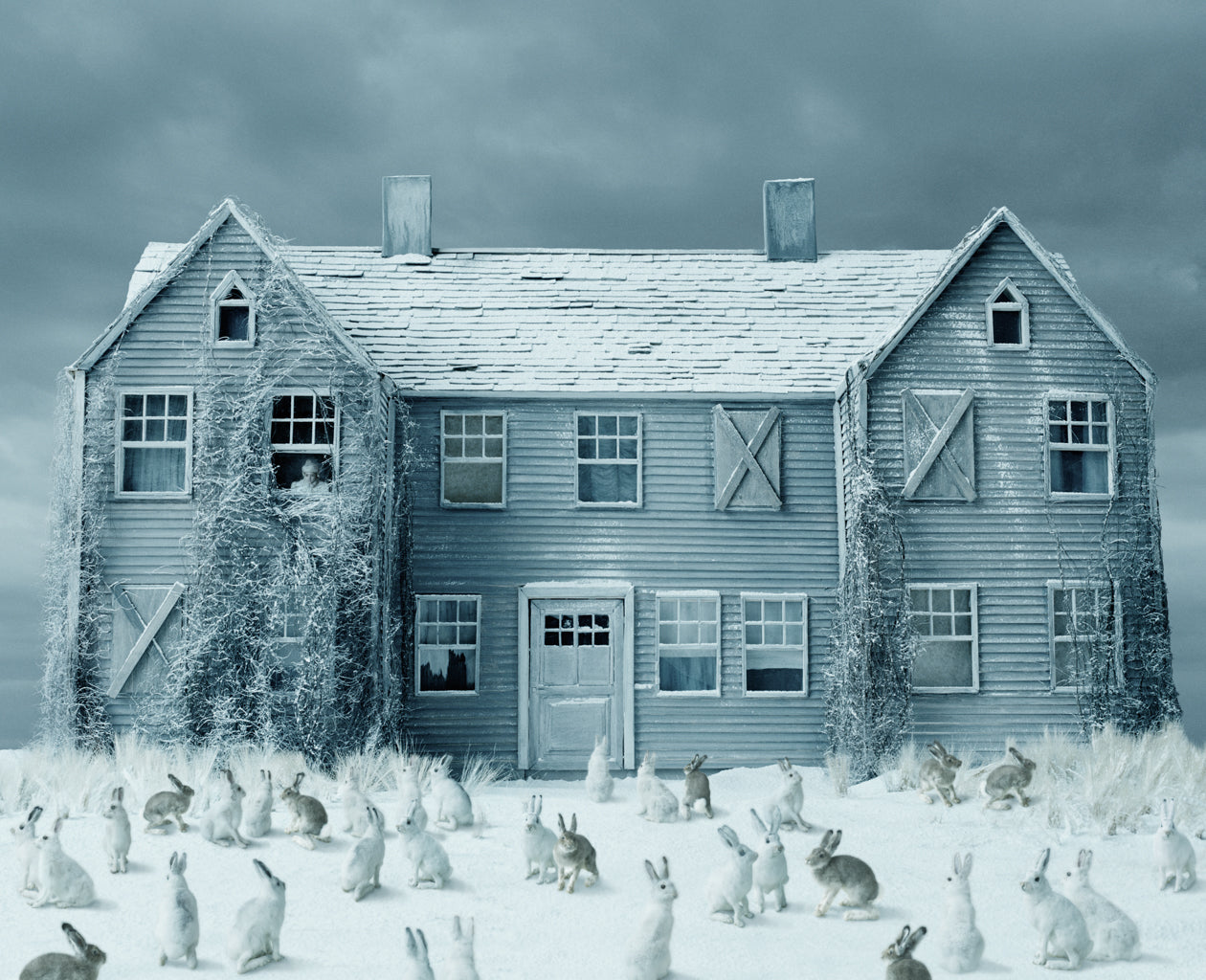 The White Garden, 2011